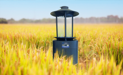 高标准农田建设必备品：智能虫情测报灯